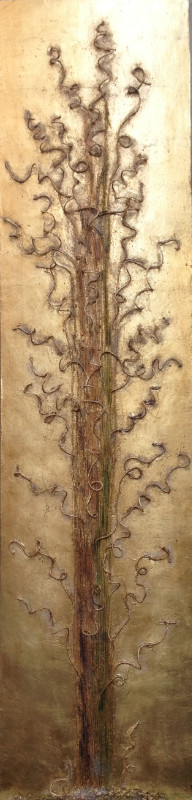 VORTICI ENERGETICI